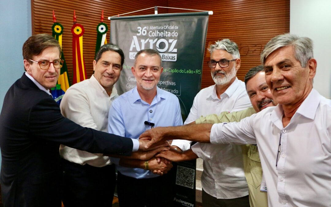 Rio Grande do Sul: Conab anuncia mais R$ 73,6 milhões para apoiar produtores de arroz